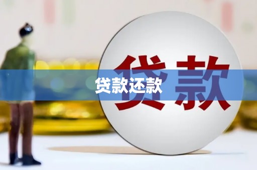 沙湾贷款还款