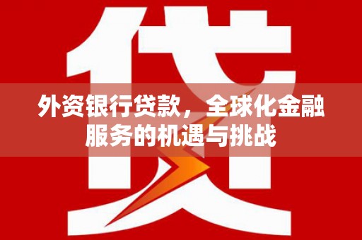 沙湾外资银行贷款，全球化金融服务的机遇与挑战