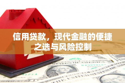 沙湾信用贷款，现代金融的便捷之选与风险控制