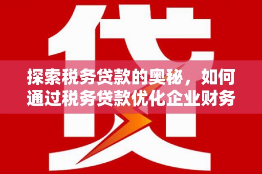 沙湾探索税务贷款的奥秘，如何通过税务贷款优化企业财务