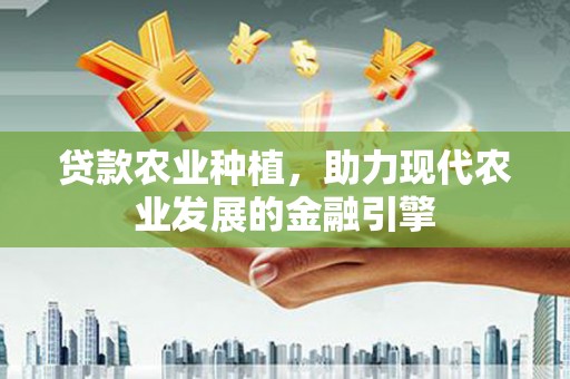 沙湾贷款农业种植，助力现代农业发展的金融引擎