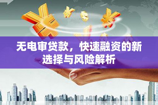 沙湾无电审贷款，快速融资的新选择与风险解析
