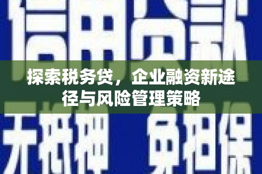 沙湾探索税务贷，企业融资新途径与风险管理策略