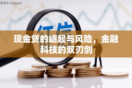 沙湾现金贷的崛起与风险，金融科技的双刃剑