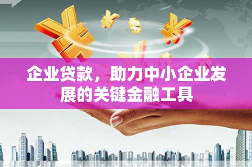 沙湾企业贷款，助力中小企业发展的关键金融工具