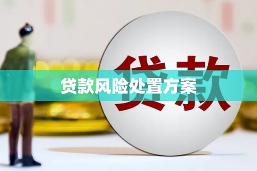 沙湾贷款风险处置方案
