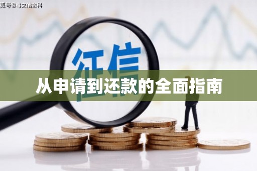 沙湾从申请到还款的全面指南