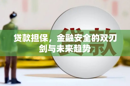 沙湾贷款担保，金融安全的双刃剑与未来趋势