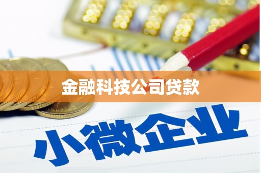 沙湾金融科技公司贷款