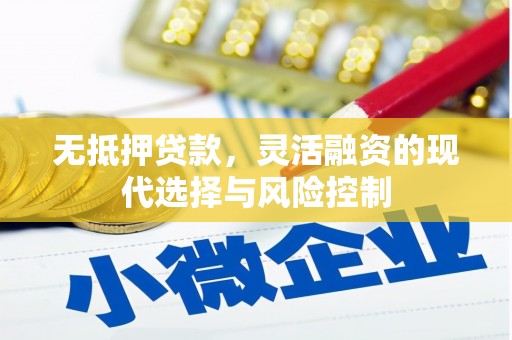 沙湾无抵押贷款，灵活融资的现代选择与风险控制