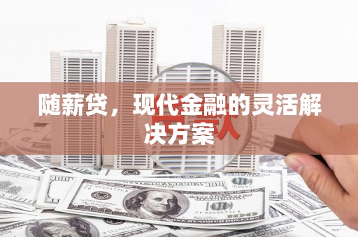沙湾随薪贷，现代金融的灵活解决方案