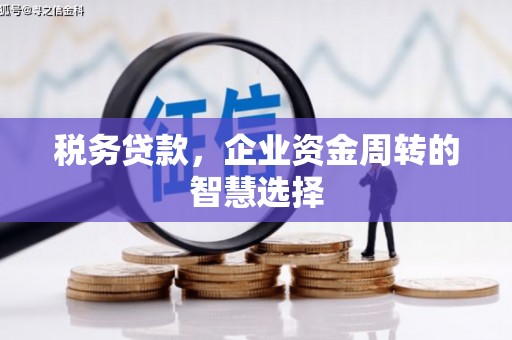 沙湾税务贷款，企业资金周转的智慧选择
