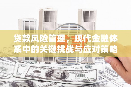 沙湾贷款风险管理，现代金融体系中的关键挑战与应对策略