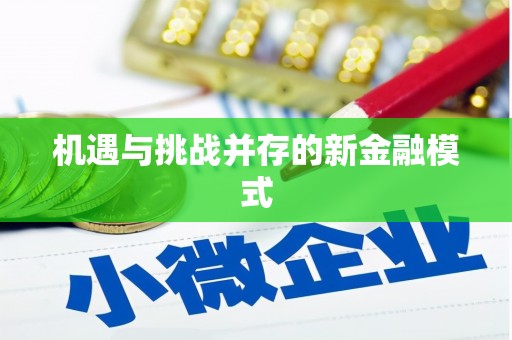 沙湾机遇与挑战并存的新金融模式