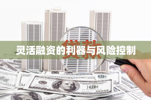 沙湾灵活融资的利器与风险控制