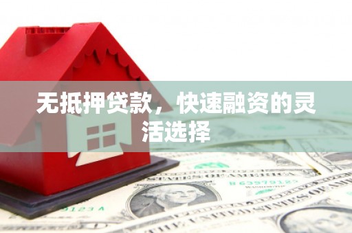 沙湾无抵押贷款，快速融资的灵活选择