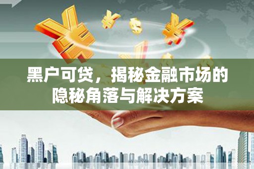 沙湾黑户可贷，揭秘金融市场的隐秘角落与解决方案