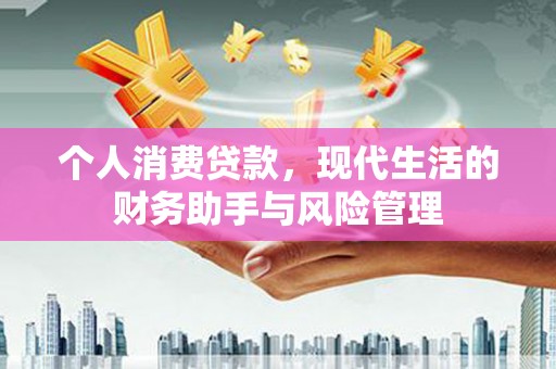 沙湾个人消费贷款，现代生活的财务助手与风险管理
