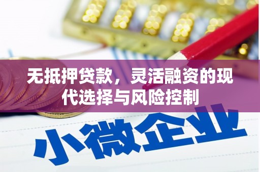 沙湾无抵押贷款，灵活融资的现代选择与风险控制