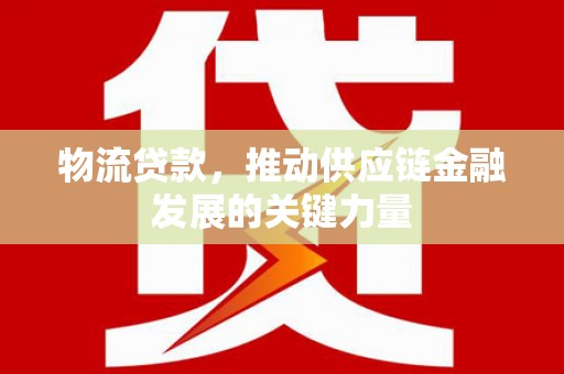 沙湾物流贷款，推动供应链金融发展的关键力量