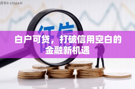 沙湾白户可贷，打破信用空白的金融新机遇