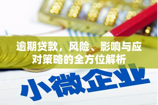 沙湾逾期贷款，风险、影响与应对策略的全方位解析