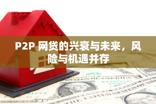 沙湾P2P 网贷的兴衰与未来，风险与机遇并存