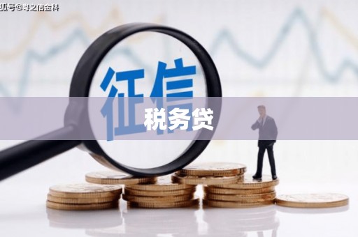沙湾税务贷