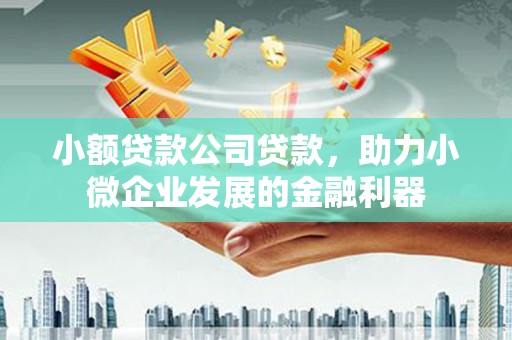 沙湾小额贷款公司贷款，助力小微企业发展的金融利器
