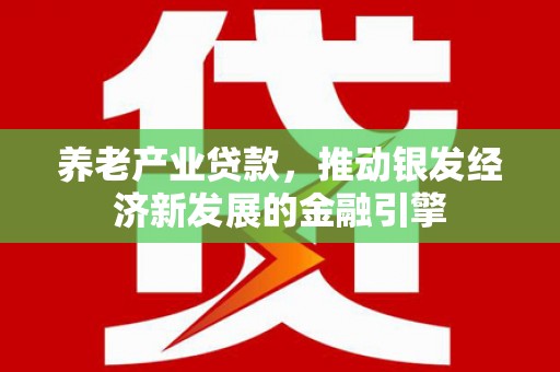 沙湾养老产业贷款，推动银发经济新发展的金融引擎
