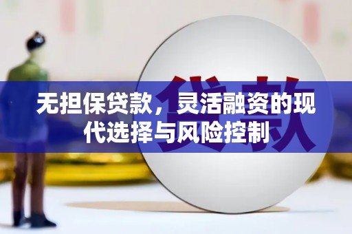 沙湾无担保贷款，灵活融资的现代选择与风险控制