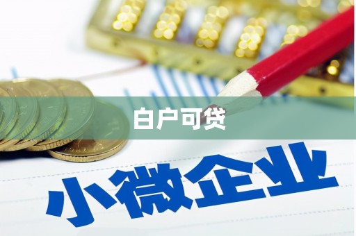 沙湾白户可贷