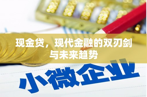 沙湾现金贷，现代金融的双刃剑与未来趋势