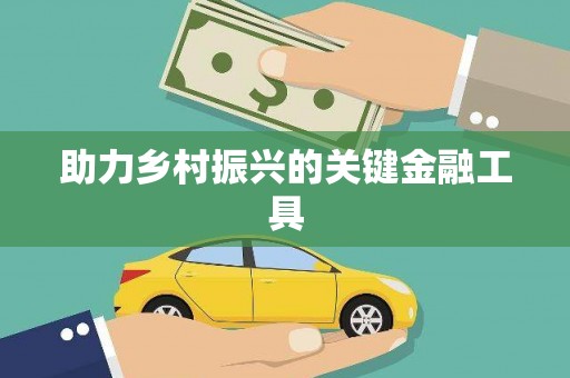 沙湾助力乡村振兴的关键金融工具