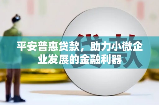 沙湾平安普惠贷款，助力小微企业发展的金融利器