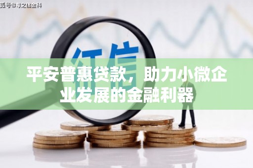 沙湾平安普惠贷款，助力小微企业发展的金融利器