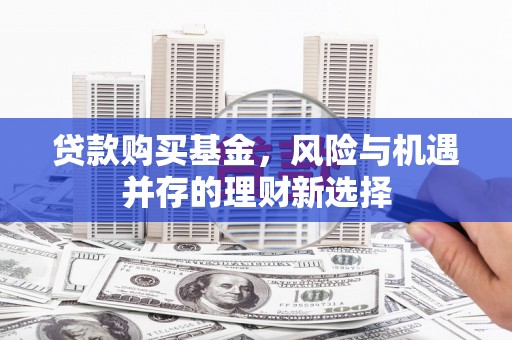 沙湾贷款购买基金，风险与机遇并存的理财新选择