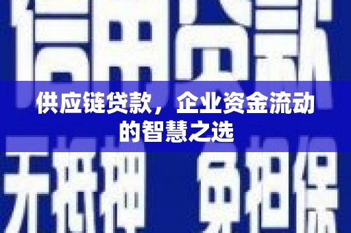 沙湾供应链贷款，企业资金流动的智慧之选