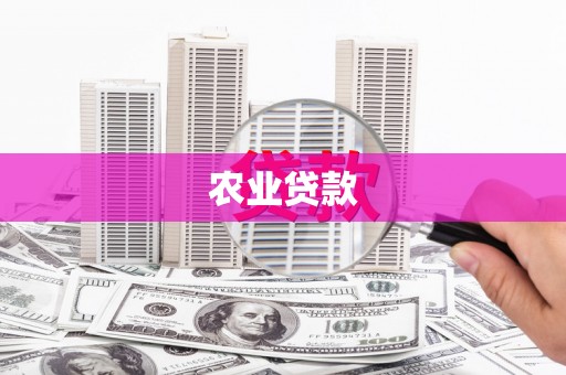 沙湾农业贷款