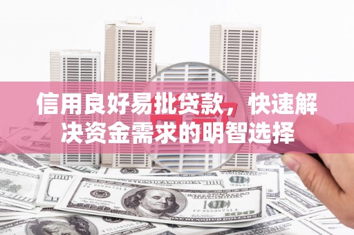 沙湾信用良好易批贷款，快速解决资金需求的明智选择