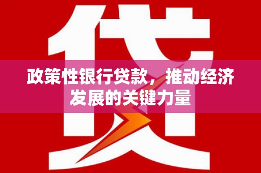 沙湾政策性银行贷款，推动经济发展的关键力量