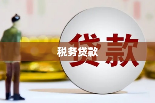 沙湾税务贷款