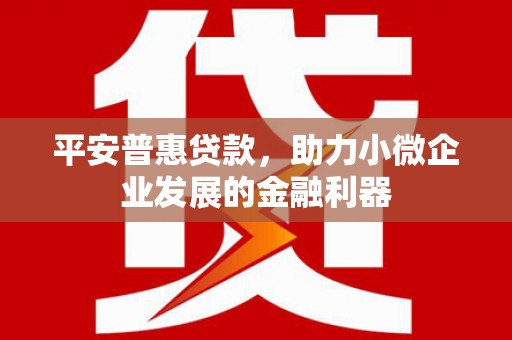 沙湾平安普惠贷款，助力小微企业发展的金融利器