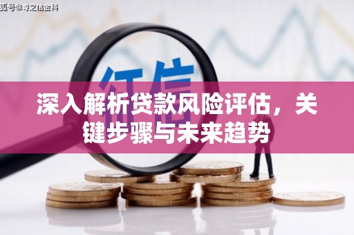 沙湾深入解析贷款风险评估，关键步骤与未来趋势