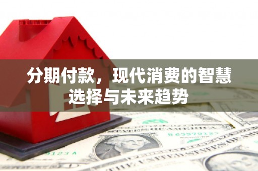 沙湾分期付款，现代消费的智慧选择与未来趋势