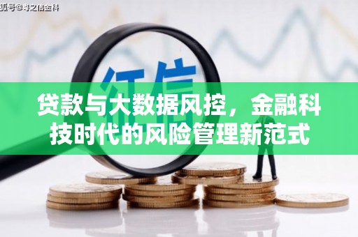 沙湾贷款与大数据风控，金融科技时代的风险管理新范式