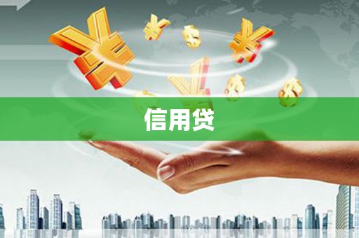 沙湾信用贷