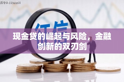 沙湾现金贷的崛起与风险，金融创新的双刃剑