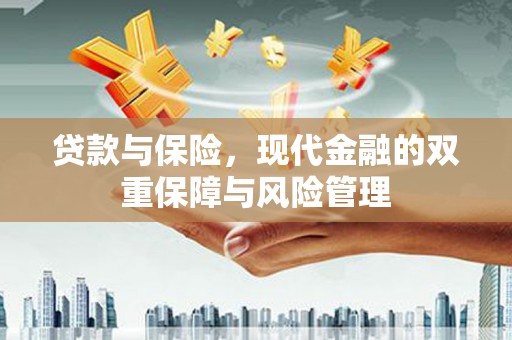 沙湾贷款与保险，现代金融的双重保障与风险管理