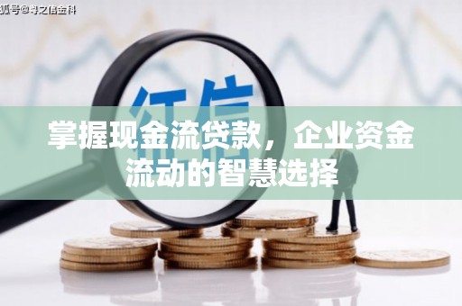 沙湾掌握现金流贷款，企业资金流动的智慧选择